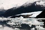 Onelli glacier and floes
